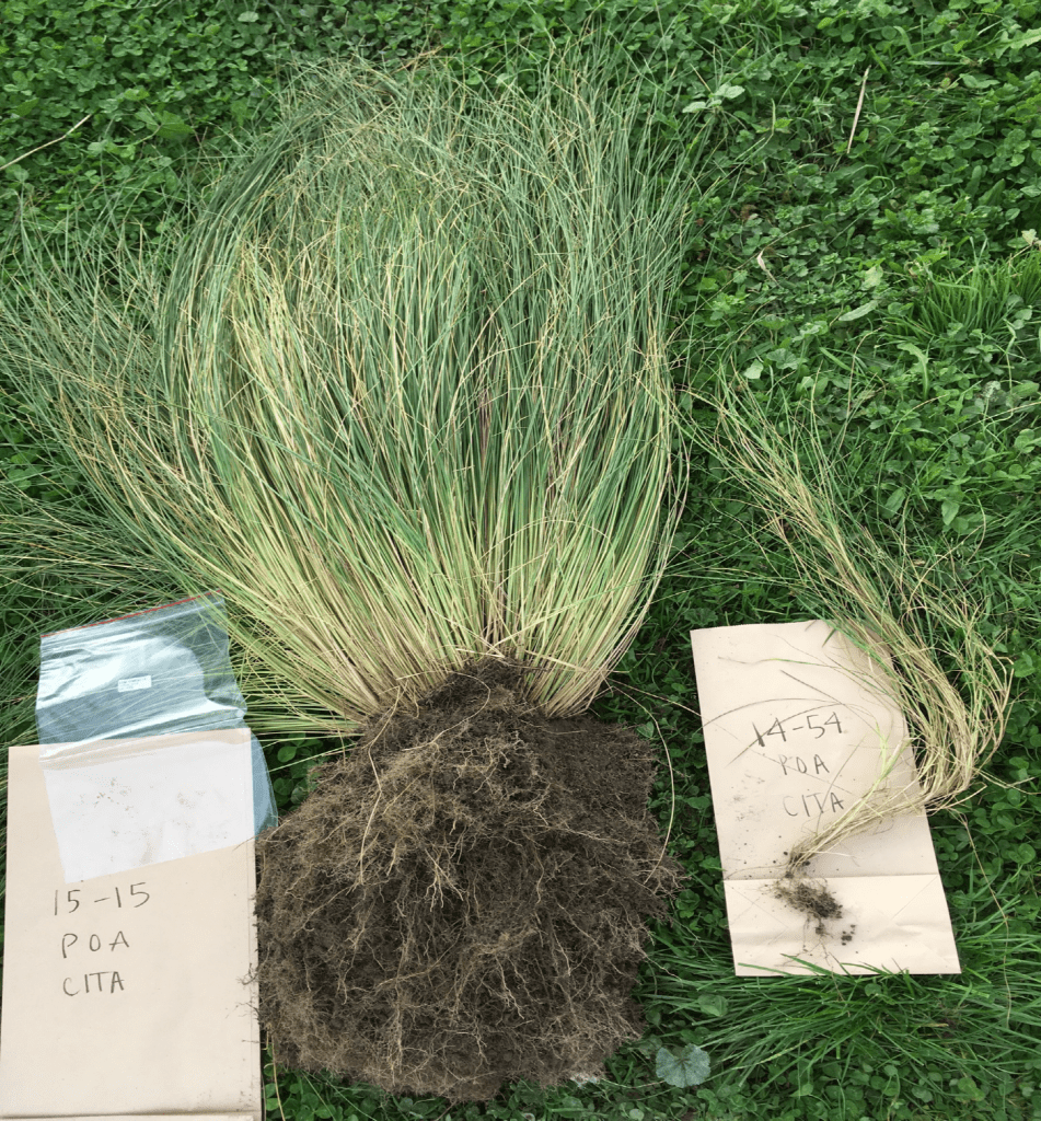 Enemies with benefits