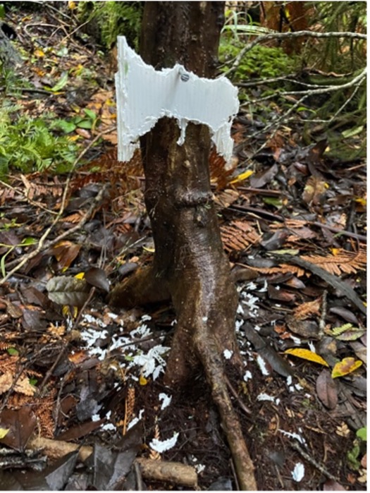 Pesty plastics: Removing a problem from wildlife management