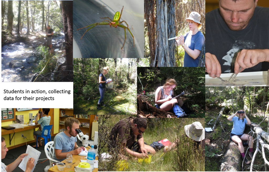 Field-ecologists-in-action-1024×657 – EcoLincNZ