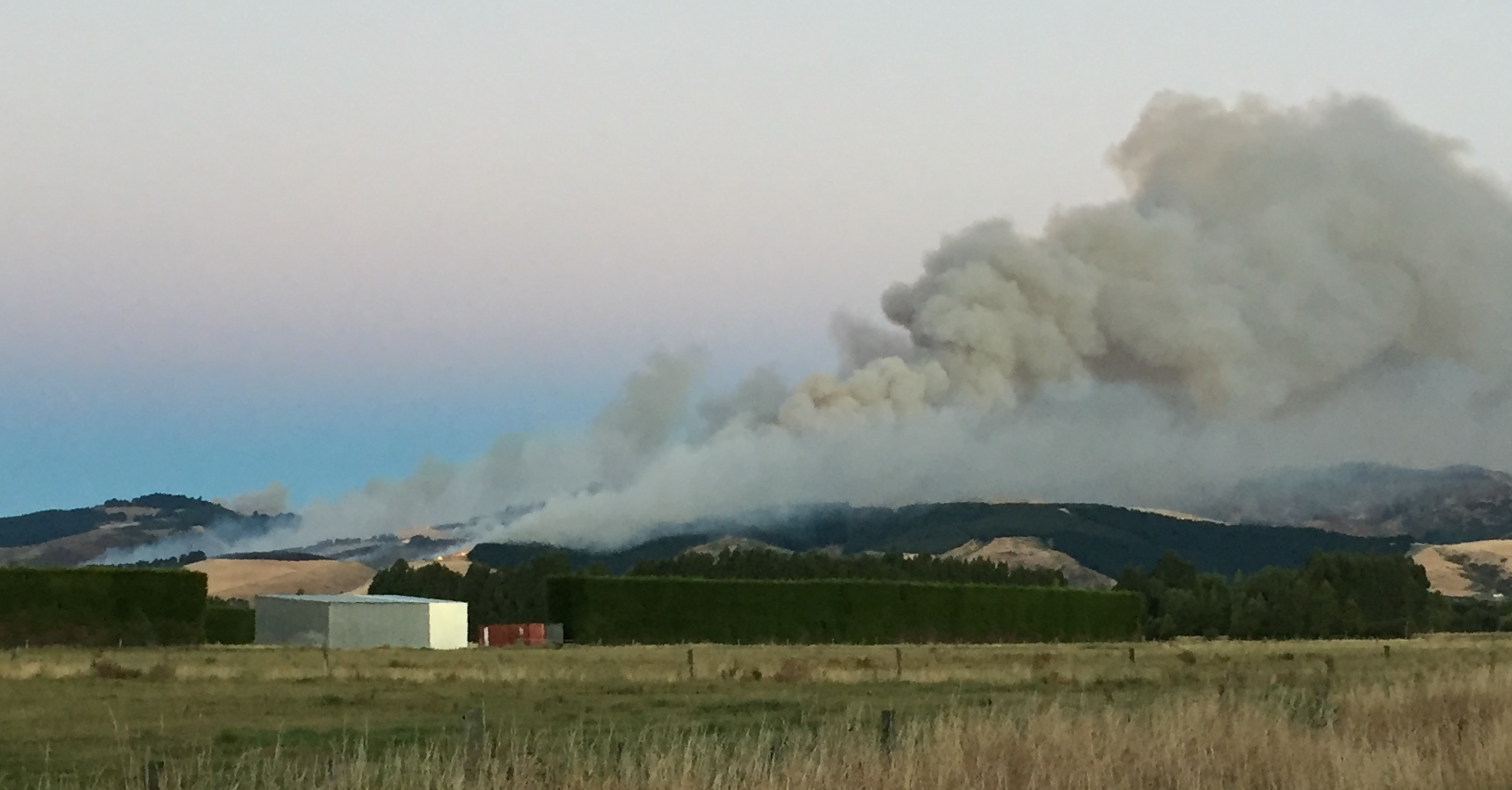 Burning branches — flammability and shoot architecture